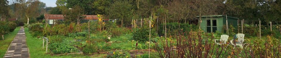 Tuinbouwvereniging Buytentwist