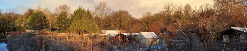 Tuinbouwvereniging Buytentwist