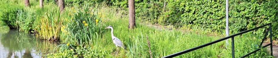 Tuinbouwvereniging Buytentwist