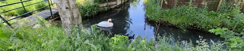 Tuinbouwvereniging Buytentwist
