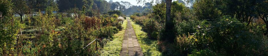 Tuinbouwvereniging Buytentwist