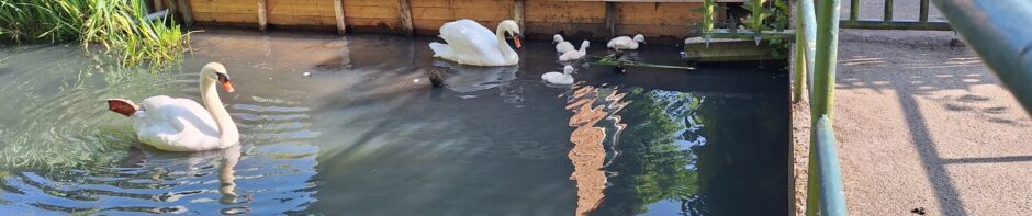 Tuinbouwvereniging Buytentwist