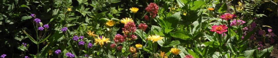Tuinbouwvereniging Buytentwist
